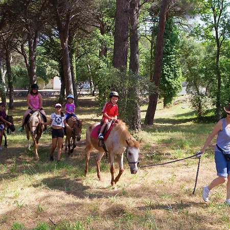Casa vacanze La Palmeraie 3 Fréjus